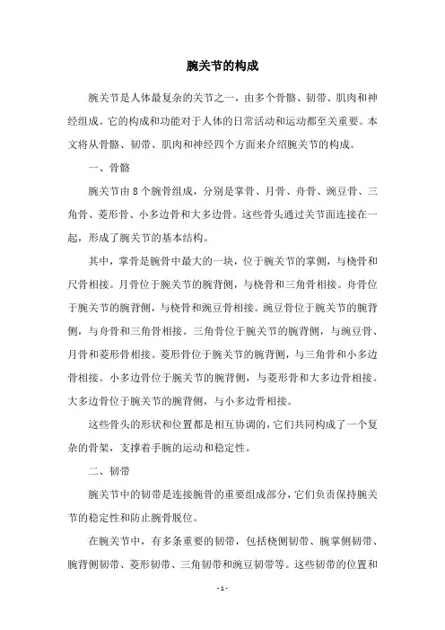腕关节的构成