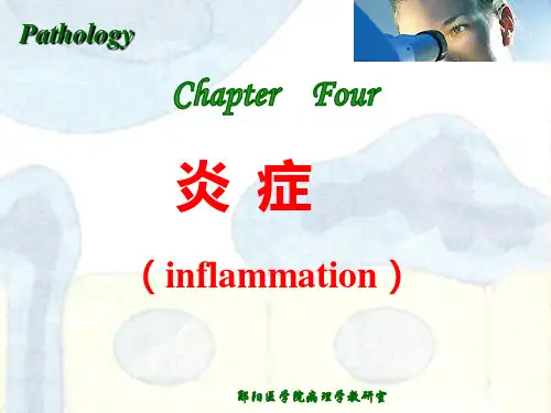 病理学4炎症PPT课件