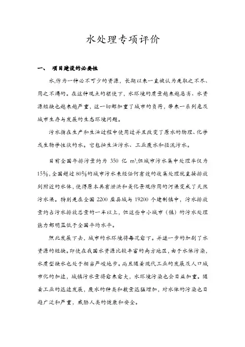 污水处理厂水处理专项评价报告