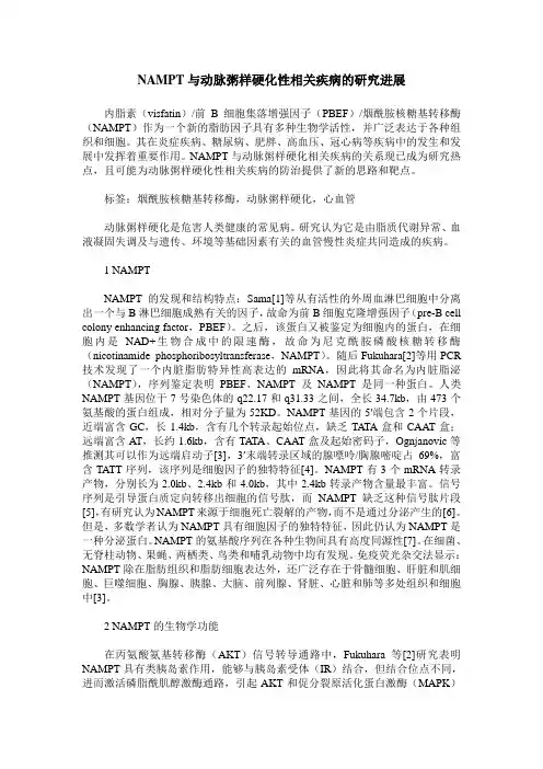 NAMPT与动脉粥样硬化性相关疾病的研究进展