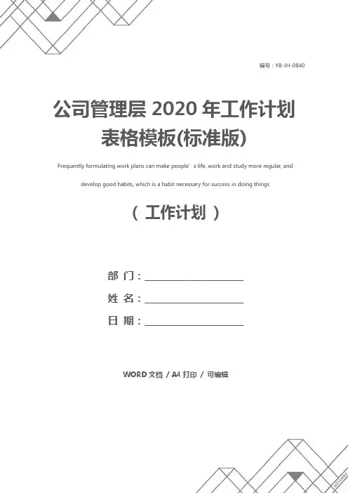 公司管理层2020年工作计划表格模板(标准版)