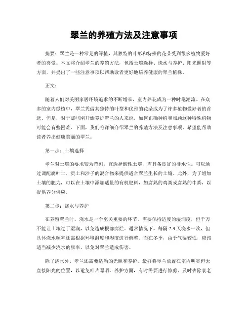 翠兰的养殖方法及注意事项