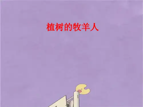 部编版七年级上册语文植树的牧羊人课件PPT(2)