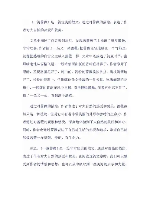 一篱蔷薇 阅读理解
