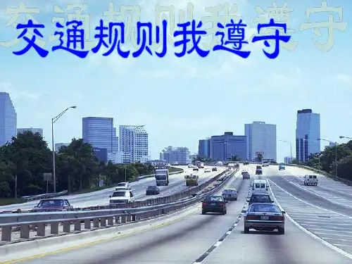 交通规则我遵守(PPT36页)