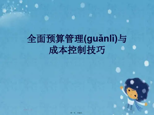 全面预算管理与成本控制技巧