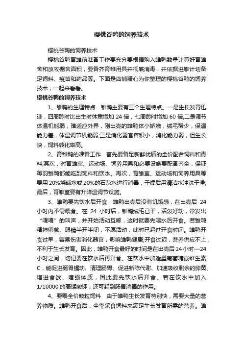 樱桃谷鸭的饲养技术