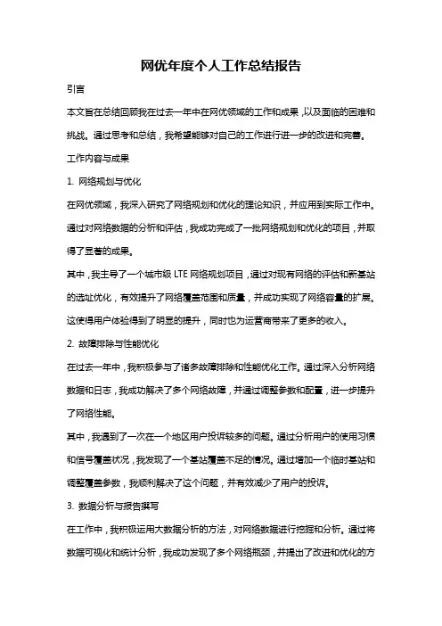 网优年度个人工作总结报告