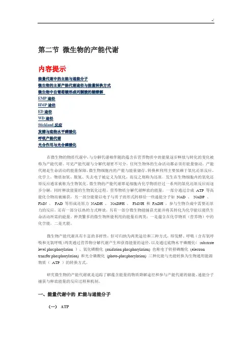 微生物产能代谢途径合集,很有用