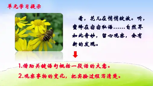 《花钟》完美版(共35张PPT)