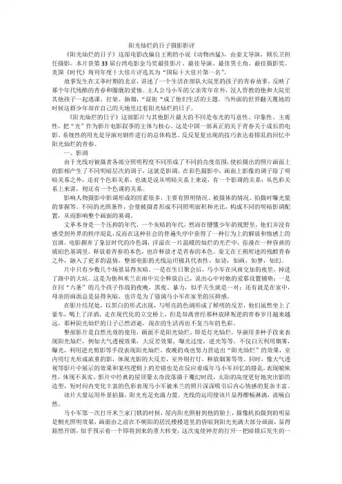 阳光灿烂的日子摄影影评