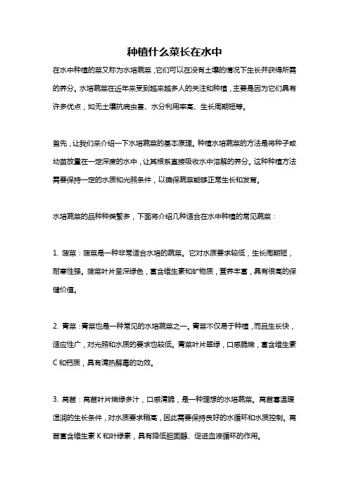 种植什么菜长在水中