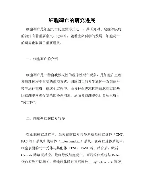 细胞凋亡的研究进展