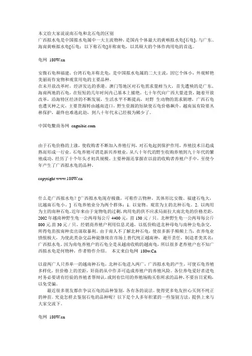 石龟