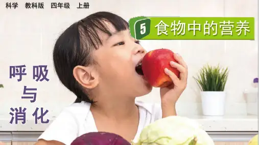 最新教科版小学科学四年级上册《食物中的营养》优质教学课件