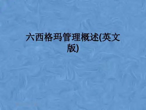 六西格玛管理概述(英文版)