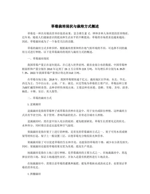 草莓栽培现状与栽培方式概述