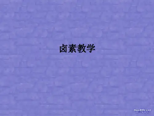 卤素ppt课件