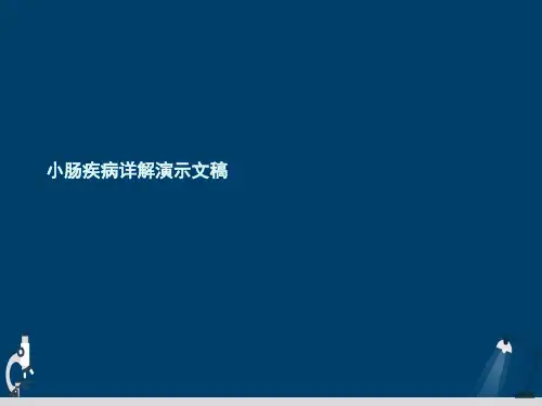 小肠疾病详解演示文稿