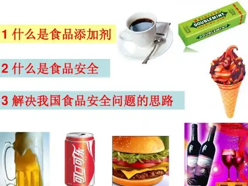 食品添加剂与食品安全