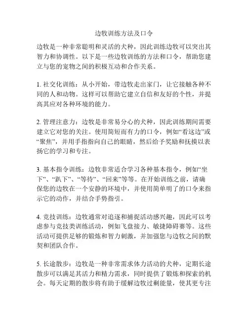 边牧训练方法及口令