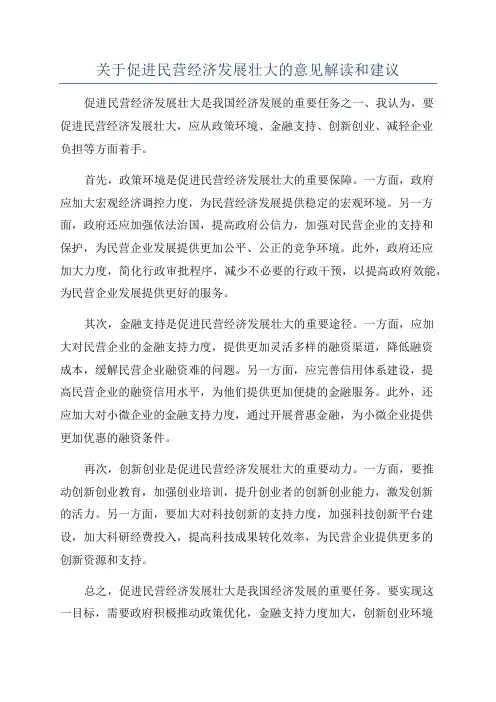 关于促进民营经济发展壮大的意见解读和建议