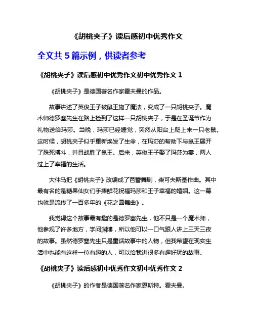 《胡桃夹子》读后感初中优秀作文
