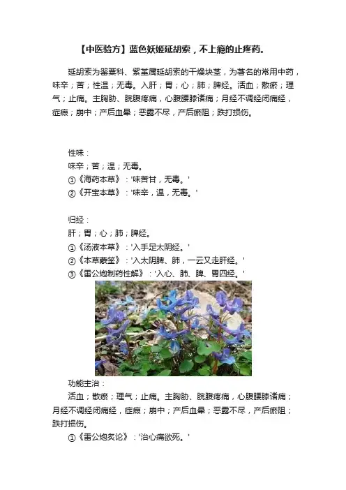 【中医验方】蓝色妖姬延胡索，不上瘾的止疼药。