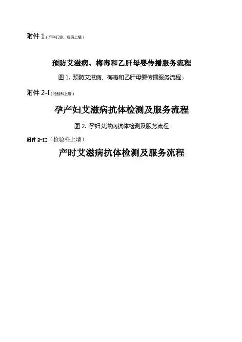 艾梅、乙、检测服务流程图--