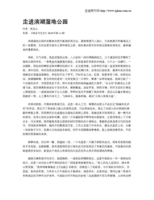 走进滨湖湿地公园