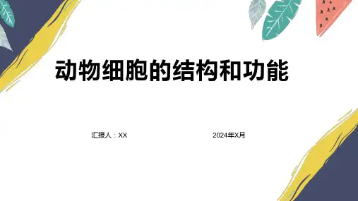 动物细胞的结构和功能