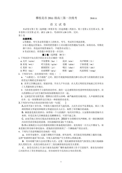 攀枝花市2011级高三第一次统考语文汇总