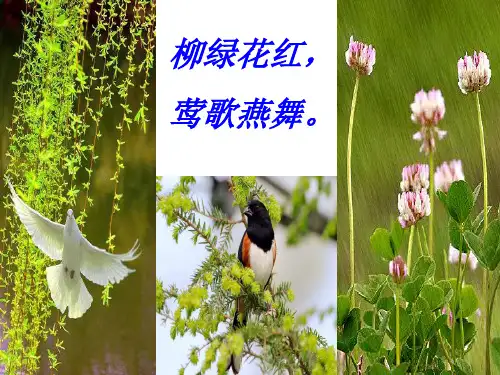 三年级下册《燕子》PPT优秀课件部编版