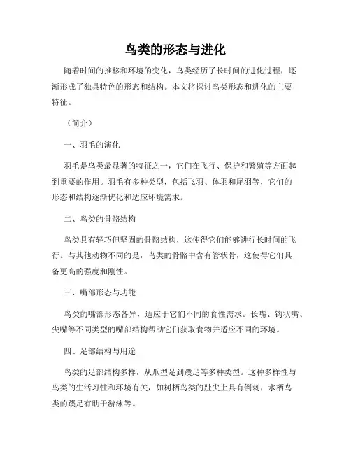 鸟类的形态与进化