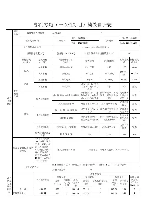 部门专项一次性项目绩效自评表