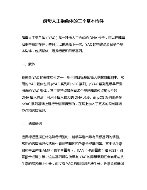 酵母人工染色体的三个基本构件