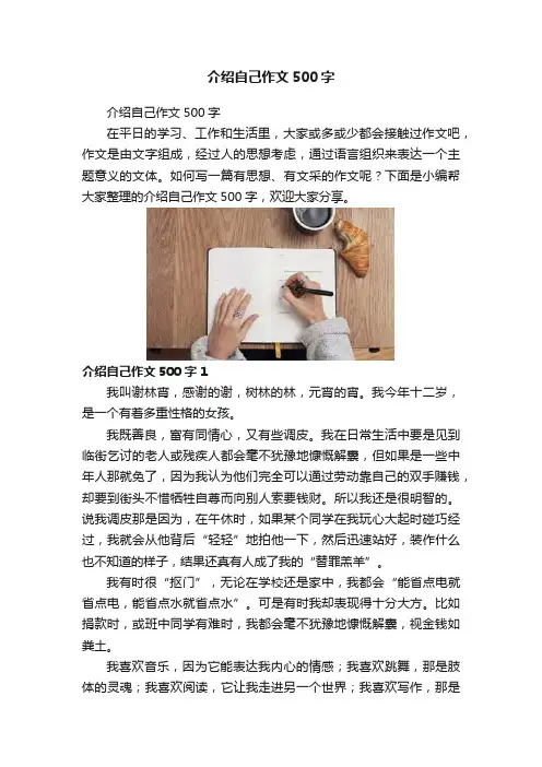 介绍自己作文500字