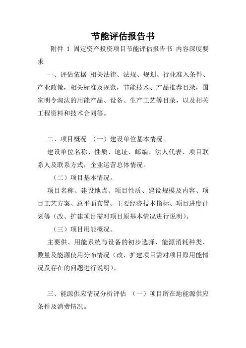 节能评估报告书.doc