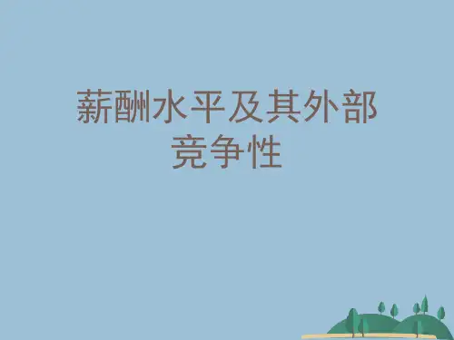 薪酬水平及其外部竞争性