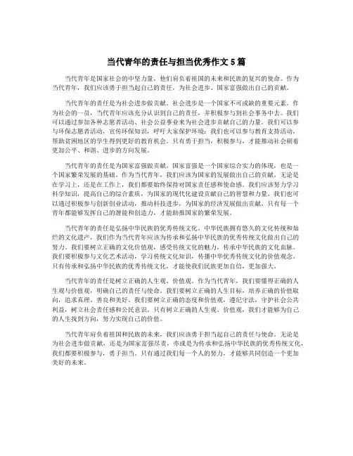 当代青年的责任与担当优秀作文5篇