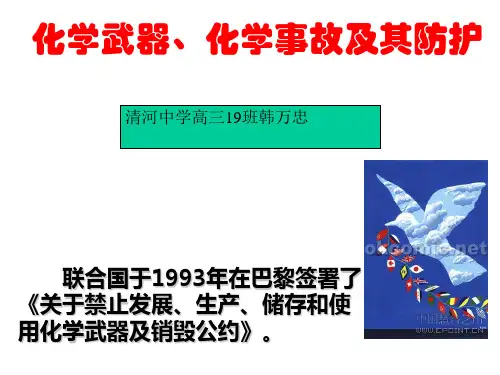 化学武器、化学事故及其防护