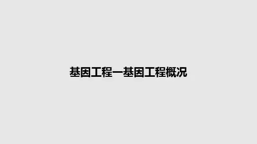 基因工程一基因工程概况PPT教案