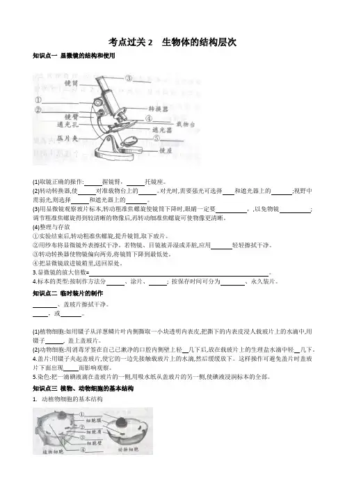 2023年生物中考复习考点过关2生物体的结构层次