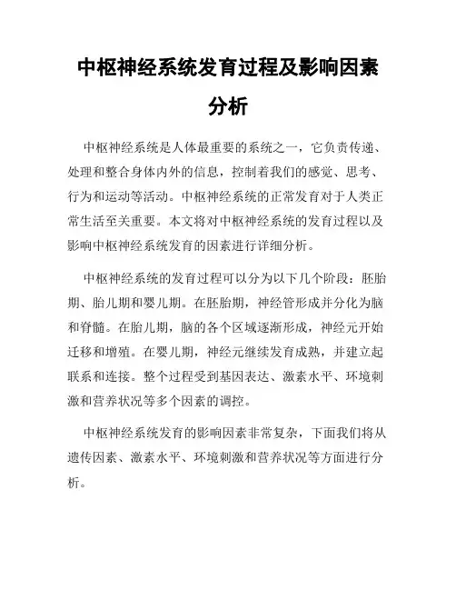 中枢神经系统发育过程及影响因素分析