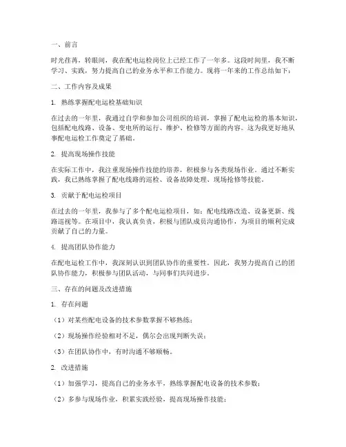 配电运检个人工作总结范文