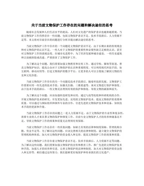 关于当前文物保护工作存在的问题和解决途径的思考