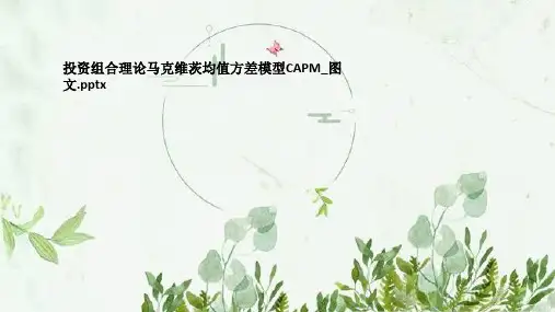 投资组合理论马克维茨均值方差模型CAPM_图文