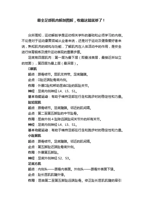 最全足部肌肉解剖图解，收藏这篇就够了！
