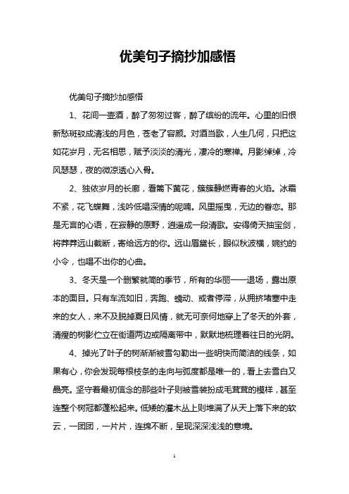 优美句子摘抄加感悟