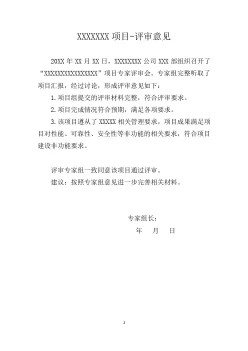 项目评审会评委意见